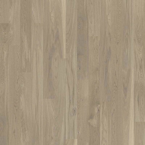 Tarkett  Tarkett™ Oak Evening Grey MidiPlank (41016002)  (41016002)