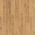 Tarkett  Tarkett™ Oak Rustic Plank XT (7879004)  (7879004)